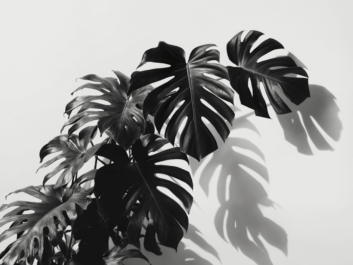 Flowspace